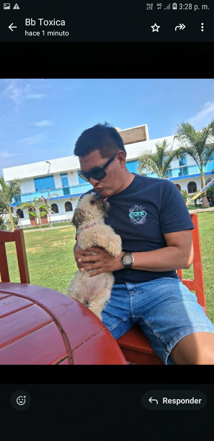 <strong>Alfredo R.</strong>